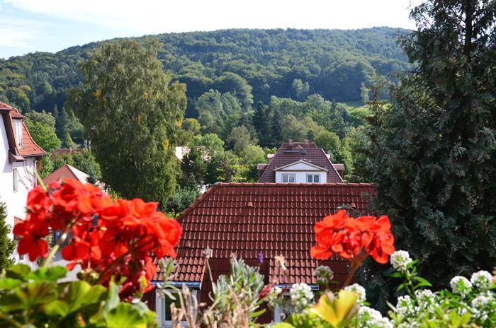 Villa Sonnenseite Jonsdorf Eksteriør billede